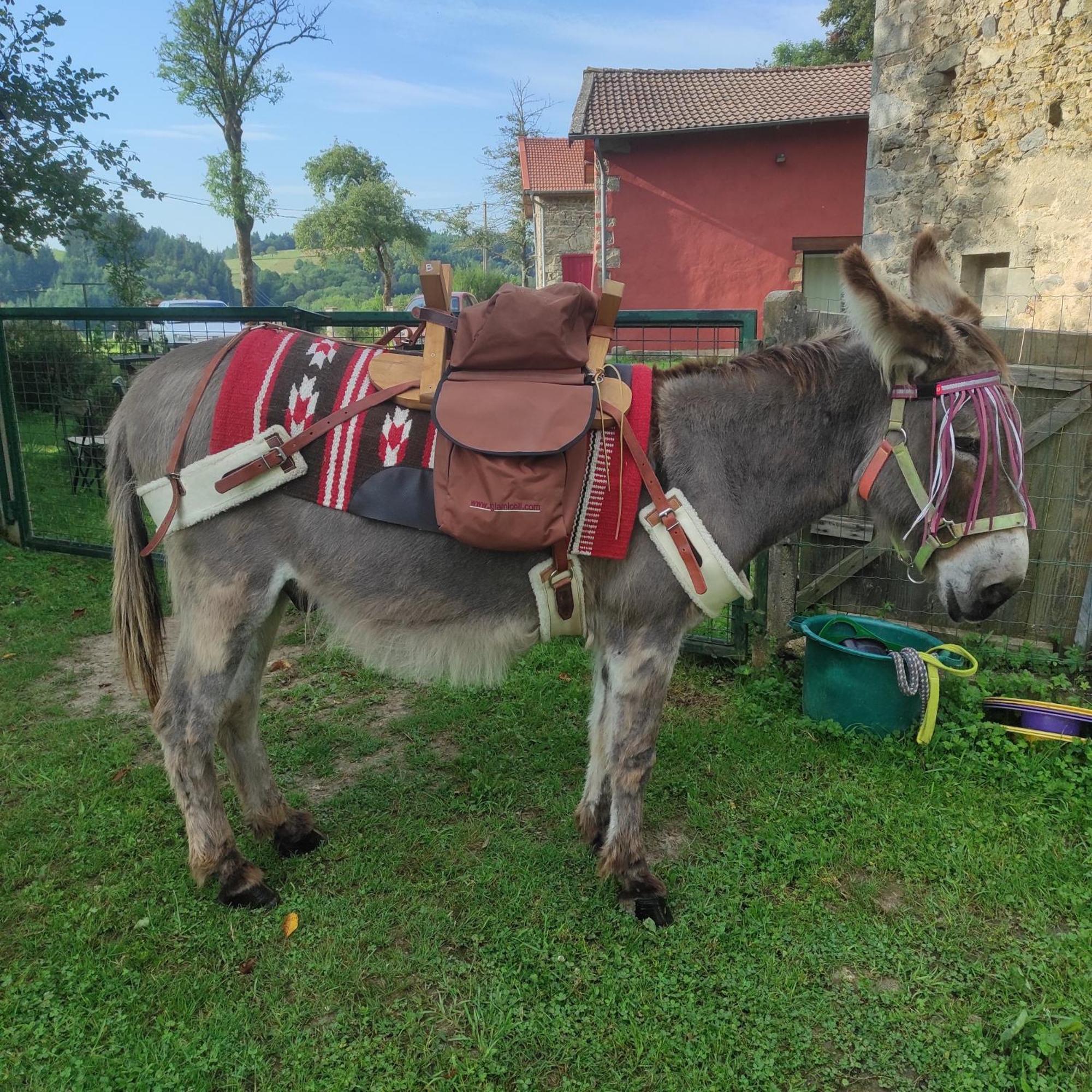 Gite La Roche Bertignat Екстер'єр фото